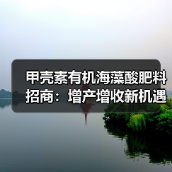 甲壳素有机海藻酸肥料招商:增产增收新机遇(图1) 甲壳素有机海藻酸肥料招商:增产增收新机遇(图1)