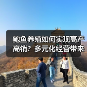 鲍鱼养殖如何实现高产高销?多元化经营带来财富新路径(图2) 鲍鱼养殖如何实现高产高销?多元化经营带来财富新路径(图2)