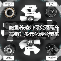 鲍鱼养殖如何实现高产高销?多元化经营带来财富新路径(图3) 鲍鱼养殖如何实现高产高销?多元化经营带来财富新路径(图3)