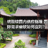 硫酸铵国内供应稳增 国际需求疲软如何应对？（图2）
