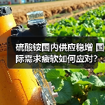 硫酸铵国内供应稳增 国际需求疲软如何应对？（图1）