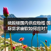 硫酸铵国内供应稳增 国际需求疲软如何应对？（图3）