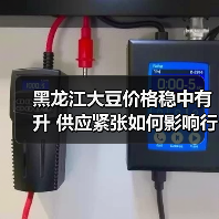 黑龙江大豆价格稳中有升 供应紧张如何影响行情?(图2) 黑龙江大豆价格稳中有升 供应紧张如何影响行情?(图2)