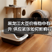 黑龙江大豆价格稳中有升 供应紧张如何影响行情? 黑龙江大豆价格稳中有升 供应紧张如何影响行情?