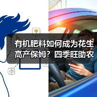 有机肥料如何成为花生高产保姆?四季旺助农增收(图2) 有机肥料如何成为花生高产保姆?四季旺助农增收(图2)