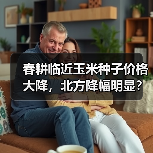 春耕临近玉米种子价格大降,北方降幅明显?(图2) 春耕临近玉米种子价格大降,北方降幅明显?(图2)