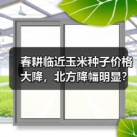 春耕临近玉米种子价格大降,北方降幅明显?(图4) 春耕临近玉米种子价格大降,北方降幅明显?(图4)