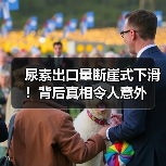尿素出口量断崖式下滑！背后真相令人意外（图4）