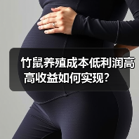 竹鼠养殖成本低利润高 高收益如何实现？（图1）