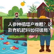 人参种植增产难题?这款有机肥料如何破局?(图4) 人参种植增产难题?这款有机肥料如何破局?(图4)