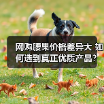 网购腰果价格差异大 如何选到真正优质产品?(图2) 网购腰果价格差异大 如何选到真正优质产品?(图2)