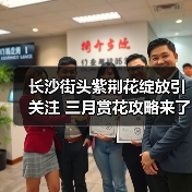 长沙街头紫荆花绽放引关注 三月赏花攻略来了(图3) 长沙街头紫荆花绽放引关注 三月赏花攻略来了(图3)