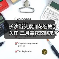 长沙街头紫荆花绽放引关注 三月赏花攻略来了(图4) 长沙街头紫荆花绽放引关注 三月赏花攻略来了(图4)