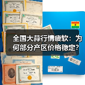 全国大蒜行情疲软:为何部分产区价格稳定?(图4) 全国大蒜行情疲软:为何部分产区价格稳定?(图4)