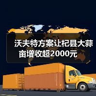 沃夫特方案让杞县大蒜亩增收超2000元(图1) 沃夫特方案让杞县大蒜亩增收超2000元(图1)