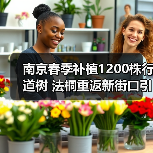 南京春季补植1200株行道树 法桐重返新街口引关注(图2) 南京春季补植1200株行道树 法桐重返新街口引关注(图2)