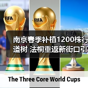 南京春季补植1200株行道树 法桐重返新街口引关注(图3) 南京春季补植1200株行道树 法桐重返新街口引关注(图3)