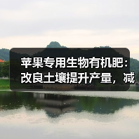 苹果专用生物有机肥:改良土壤提升产量,减少化肥依赖!(图4) 苹果专用生物有机肥:改良土壤提升产量,减少化肥依赖!(图4)