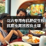 花卉专用有机肥促生根抗病虫高效改良土壤(图1) 花卉专用有机肥促生根抗病虫高效改良土壤(图1)