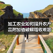 加工农业如何提升农产品附加值破解增收难题(图3) 加工农业如何提升农产品附加值破解增收难题(图3)