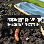 海藻鱼蛋白有机肥招商 沃福沃助力生态农业（图4）