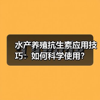 水产养殖抗生素应用技巧:如何科学使用?(图2) 水产养殖抗生素应用技巧:如何科学使用?(图2)