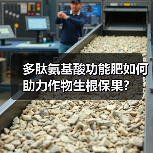 多肽氨基酸功能肥如何助力作物生根保果?(图1) 多肽氨基酸功能肥如何助力作物生根保果?(图1)