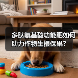 多肽氨基酸功能肥如何助力作物生根保果?(图3) 多肽氨基酸功能肥如何助力作物生根保果?(图3)
