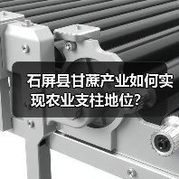 石屏县甘蔗产业如何实现农业支柱地位?(图2) 石屏县甘蔗产业如何实现农业支柱地位?(图2)