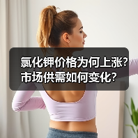氯化钾价格为何上涨?市场供需如何变化?(图2) 氯化钾价格为何上涨?市场供需如何变化?(图2)