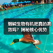 烟碱生物有机肥真的高效吗?揭秘核心优势(图1) 烟碱生物有机肥真的高效吗?揭秘核心优势(图1)
