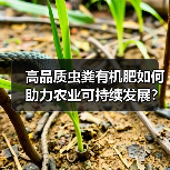 高品质虫粪有机肥如何助力农业可持续发展?中国上市引发关注(图4) 高品质虫粪有机肥如何助力农业可持续发展?中国上市引发关注(图4)