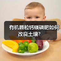 有机颗粒钙镁磷肥如何改良土壤?(图1) 有机颗粒钙镁磷肥如何改良土壤?(图1)
