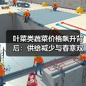 叶菜类蔬菜价格飙升背后:供给减少与春寒双重影响 叶菜类蔬菜价格飙升背后:供给减少与春寒双重影响