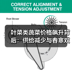 叶菜类蔬菜价格飙升背后:供给减少与春寒双重影响(图4) 叶菜类蔬菜价格飙升背后:供给减少与春寒双重影响(图4)