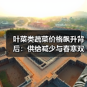 叶菜类蔬菜价格飙升背后:供给减少与春寒双重影响(图3) 叶菜类蔬菜价格飙升背后:供给减少与春寒双重影响(图3)