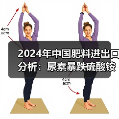 2024年中国肥料进出口分析:尿素暴跌硫酸铵激增 氯化钾进口创新高?(图2) 2024年中国肥料进出口分析:尿素暴跌硫酸铵激增 氯化钾进口创新高?(图2)