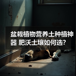 盆栽植物营养土种植神器 肥沃土壤如何选?(图4) 盆栽植物营养土种植神器 肥沃土壤如何选?(图4)