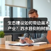 生态建设如何带动苗木产业?泗水县侧柏树苗发展启示(图1) 生态建设如何带动苗木产业?泗水县侧柏树苗发展启示(图1)