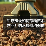 生态建设如何带动苗木产业?泗水县侧柏树苗发展启示(图3) 生态建设如何带动苗木产业?泗水县侧柏树苗发展启示(图3)