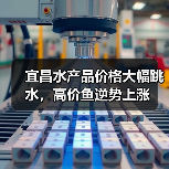 宜昌水产品价格大幅跳水,高价鱼逆势上涨 宜昌水产品价格大幅跳水,高价鱼逆势上涨