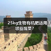 25kg生物有机肥适用于哪些蔬菜?(图4) 25kg生物有机肥适用于哪些蔬菜?(图4)
