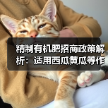 精制有机肥招商政策解析：适用西瓜黄瓜等作物（图3）