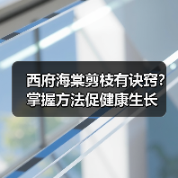 西府海棠剪枝有诀窍?掌握方法促健康生长(图2) 西府海棠剪枝有诀窍?掌握方法促健康生长(图2)