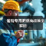 葡萄专用肥招商政策全解析(图2) 葡萄专用肥招商政策全解析(图2)