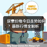 尿素价格今日走势如何？最新行情全解析（图3）