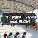 尿素价格今日走势如何？最新行情全解析（图4）