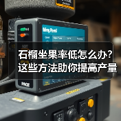 石榴坐果率低怎么办?这些方法助你提高产量 石榴坐果率低怎么办?这些方法助你提高产量