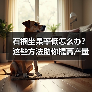 石榴坐果率低怎么办?这些方法助你提高产量(图3) 石榴坐果率低怎么办?这些方法助你提高产量(图3)