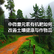 中微量元素有机肥如何改善土壤健康与作物品质（图4）